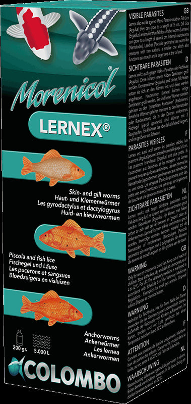 Lernex