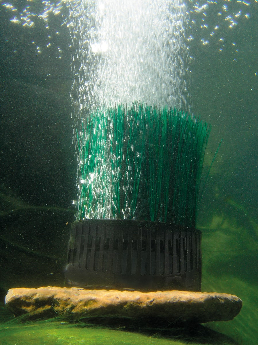 OxyTex 1000